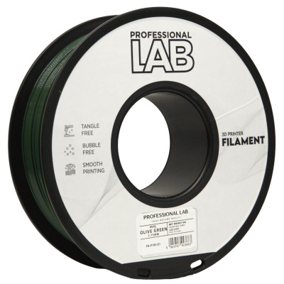 Professional Lab FG-P195-E1, 3D filament, PETG, 1,75mm, 1000g, Zielony (Olive green)