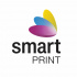 Smart Print FG-S223-E1, filament 3D, PETG, 1,75 mm, 1000 g, Zielony (Grass green)