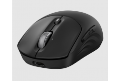 HP 705 Rechargeable Wireless Mouse