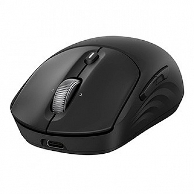 HP 705 Capacitor Wireless Mouse Mysz bezprzewodowa, czarna, 1200 DPI