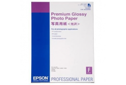 Epson Premium Glossy Photo Paper S042091, 255 g/m2, A2, 25szt., błyszczący, biały, papier fotograficzny