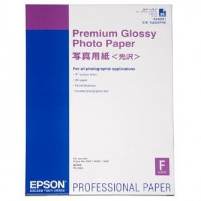 Epson Premium Glossy Photo Paper S042091, 255 g/m2, A2, 25szt., błyszczący, biały, papier fotograficzny