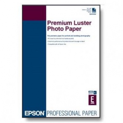 Epson S042123 Premium Luster Photo Paper, papier fotograficzny, błyszczący, biały, A2, 250 g/m2, 25 szt.