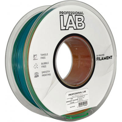 Professional Lab FG-P74-E1, 3D filament, PLA, 1,75mm, 1000g, Wielokolorowy (Gradient colour)