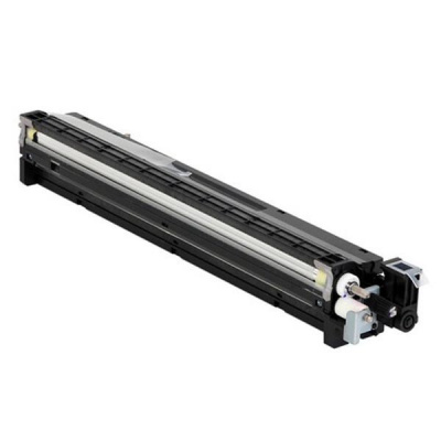 Ricoh D1773035 czarny (black) oryginalny deweloper
