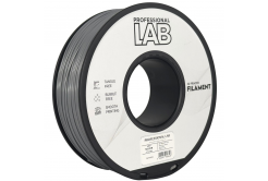Professional Lab FG-P10-E1, 3D filament, ABS+, Silver, 1kg, 1,75mm