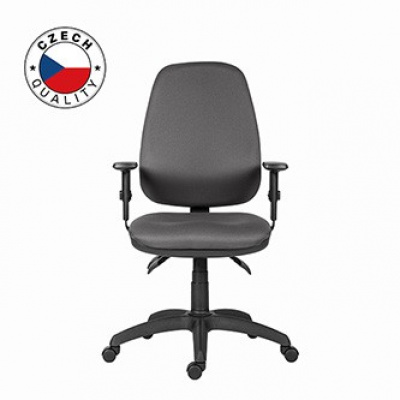 Powerton ERGO ANNA Kancelářské ergonomické křeslo, Šedé