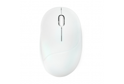 ASUS Fragrance Mouse MD101/Ergonomická/Optická/2 400 DPI/USB+BT/Bílá