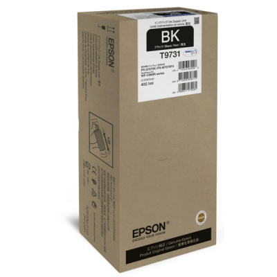 Epson C13T97310N czarny (black) tusz oryginalna