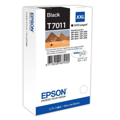 Epson T7011 C13T70114010 czarny (black) tusz oryginalna