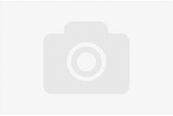 Professional Lab FG-P211-E1, 3D filament, PETG + CF, 1,75mm, 1000g, Szary (Grey)