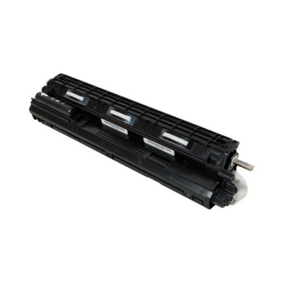 Ricoh M0263030 czarny (black) oryginalny deweloper