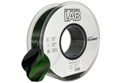 Professional Lab FG-P101-E1, 3D filament, PLA Silk, 1,75mm, 1000g,  Dual Color, Wielokolorowy (Black, green)