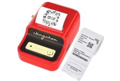 Niimbot B21 Smart 1AC13082002 drukarka etykiet + etykiety papierowe 
