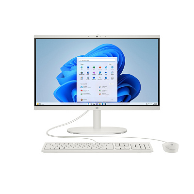 HP 22/22-dg0011nc/21,5"/FHD/N100/8GB/512GB/Intel int/W11H/Biały/2R