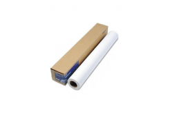 Epson Premium Glossy Photo Paper C13S042076, 170 g/m2, 16", 419mmx30.5m, błyszczący, biały, rolka papieru
