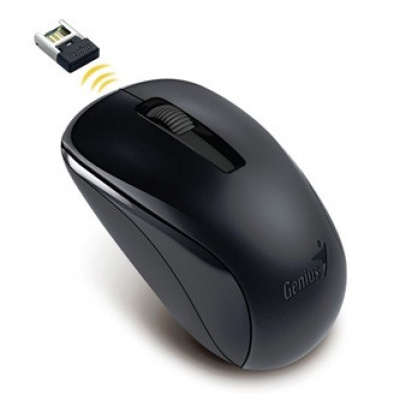 Genius Mysz NX-7005 31030017400, 1200DPI, 2.4 [GHz], Optyczne, 3 przyciski, Bezprzewodowa USB, czarny, AA